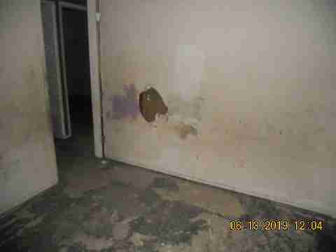 15017 Dolphin (24)_m.jpg